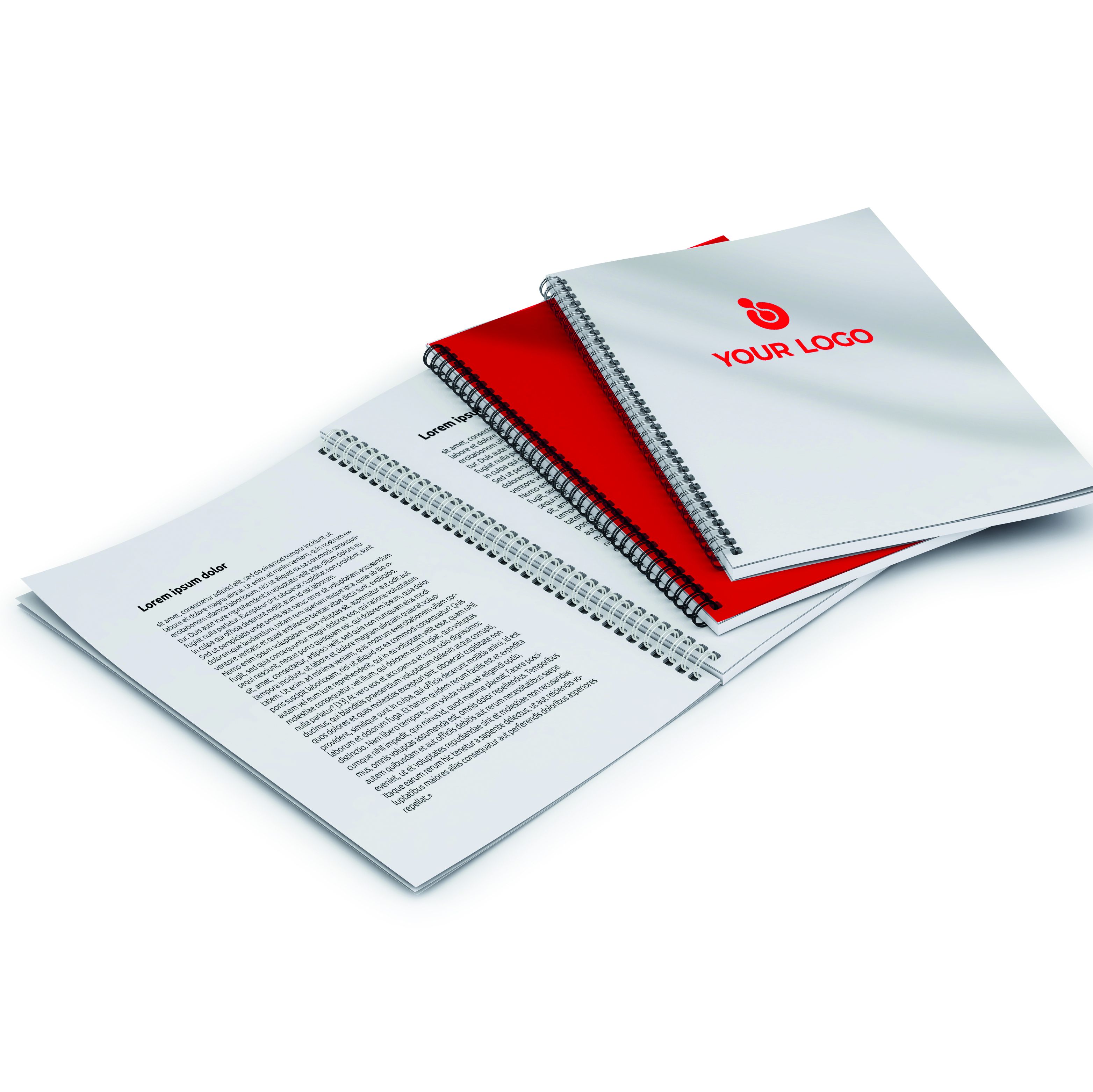 Fascicolo con pagine miste colore/bianco e nero A4 (21x29,7 cm)