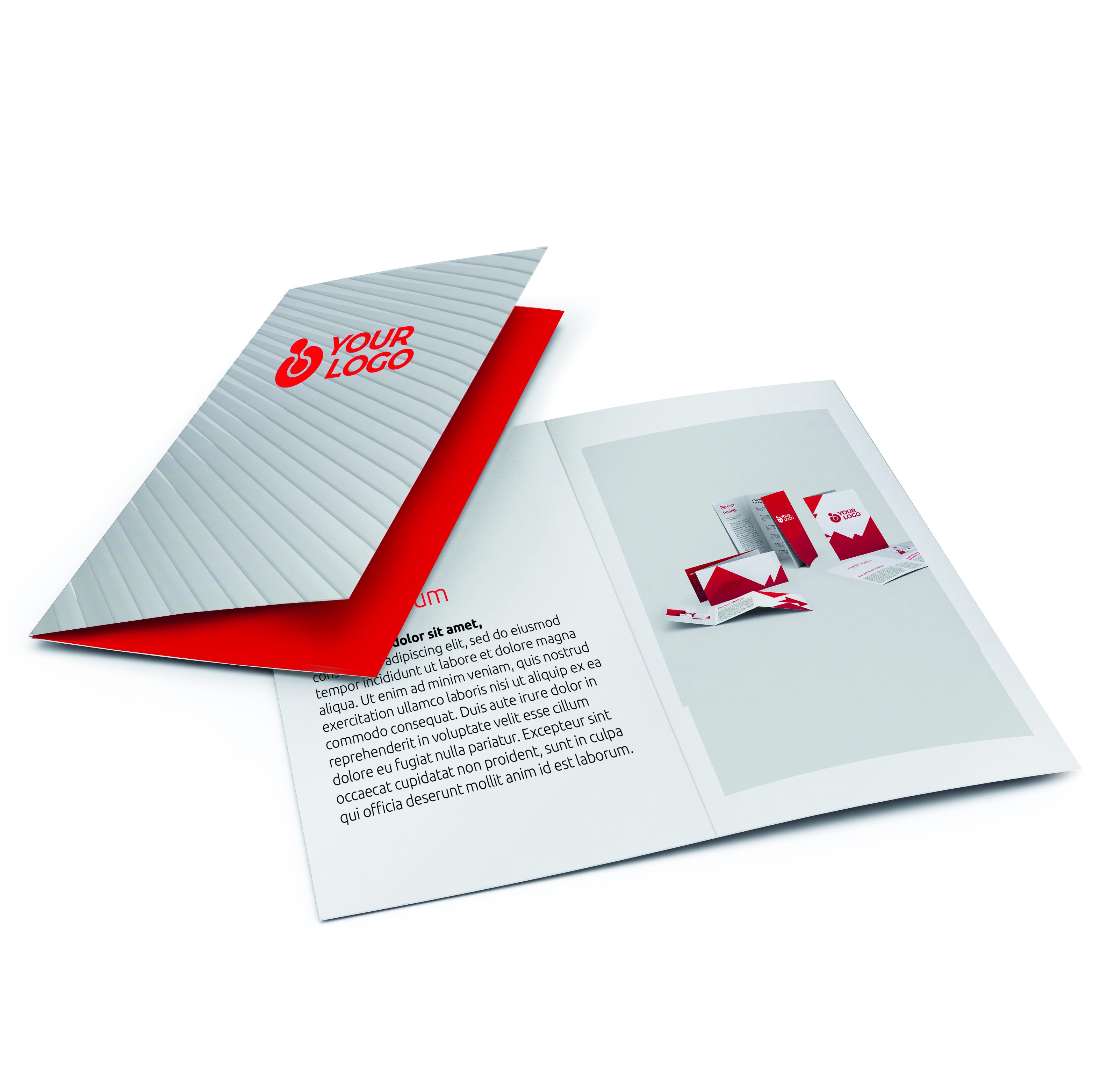 Depliant 10x21 cm 2 ante a libro digitale cartoncino